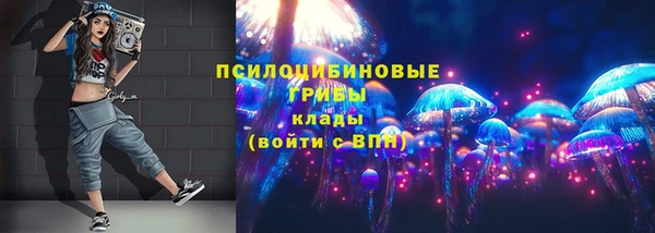 прущие грибы Армянск