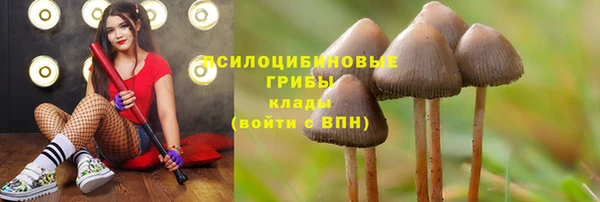 прущие крисы Арсеньев