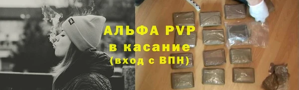 прущие грибы Армянск