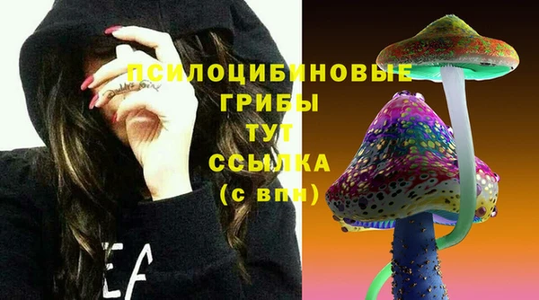 прущие грибы Армянск
