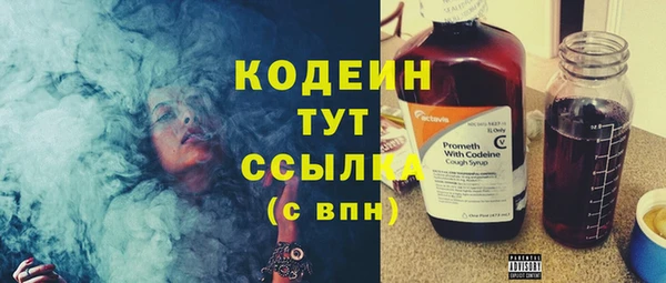 прущие грибы Армянск