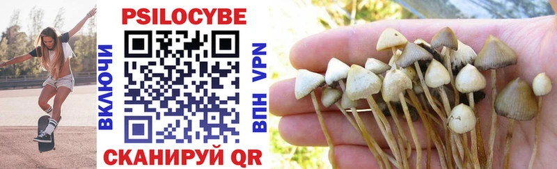 Псилоцибиновые грибы MAGIC MUSHROOMS  kraken сайт  Сысерть 