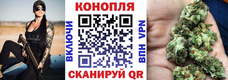 Бошки Шишки гибрид  Сысерть 